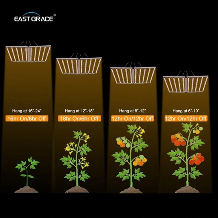 10Bars Commercial LED Grow Light 1000w