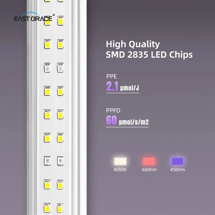 200LEDs T8 Waterproof Clone Light factory