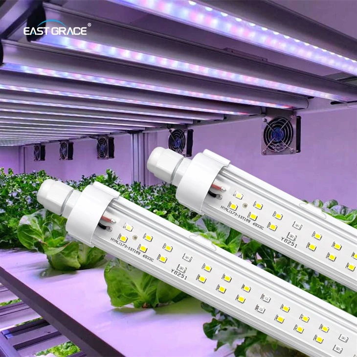 200LEDs T8 Waterproof Clone Light