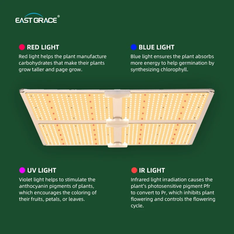 LED 5 LED 5