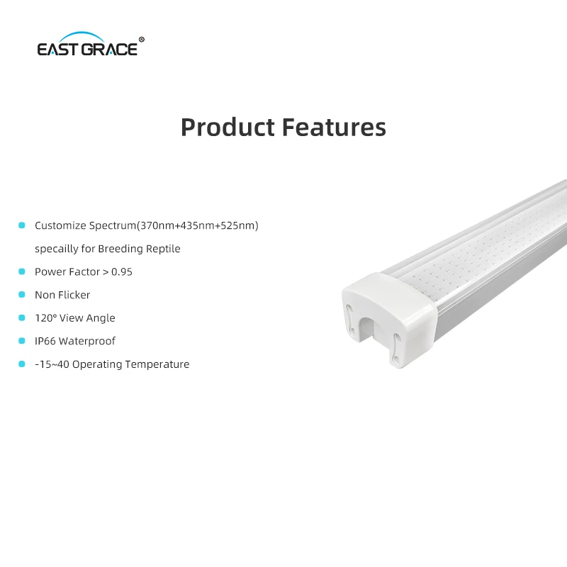 product-800-800 product-800-800