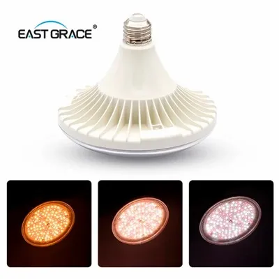 UFO LED RORE Light Cake C