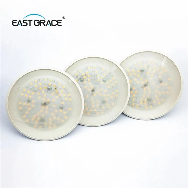 LED ROLD RORN Light Pasek