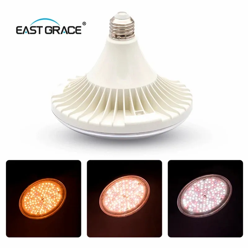 UFO LED RORE Light Cake C